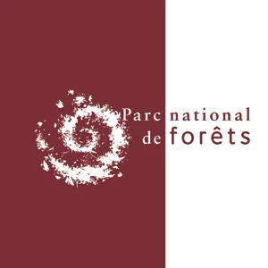 Parc national de forêts