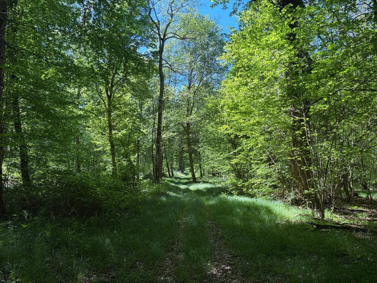 VTT électrique De Lamarche-sur-Saône à Pontailler par le bord de Saône et la forêt