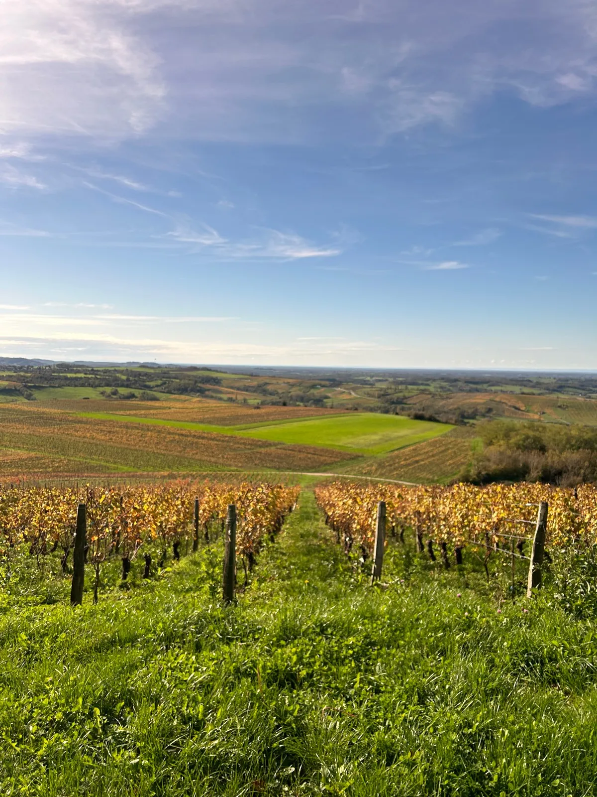 Randonnée Arbois à Pupillin par la chapelle de l’Ermitage