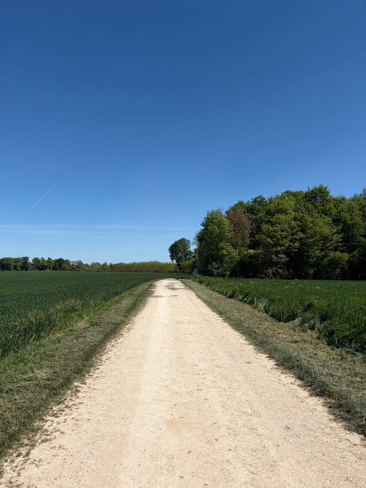 VTT Boucle de Lamarche à Montmançon
