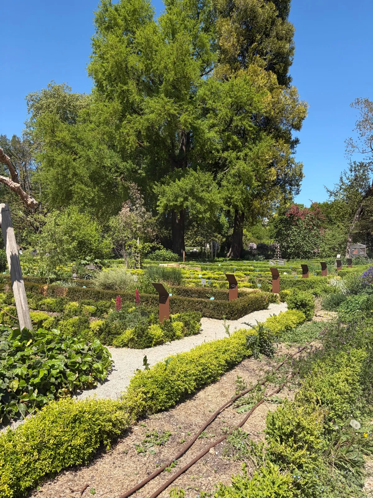 Randonnée Le Jardin de l’Arquebuse
