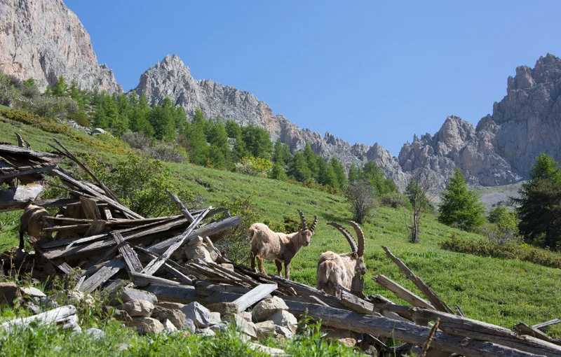 Randonnée Col de Cloche et Baume Longe