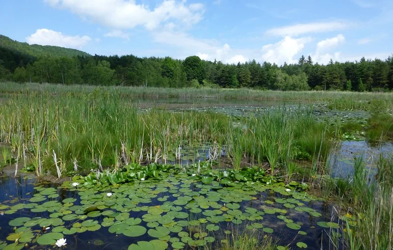 Randonnée Lac et église de Saint-Léger