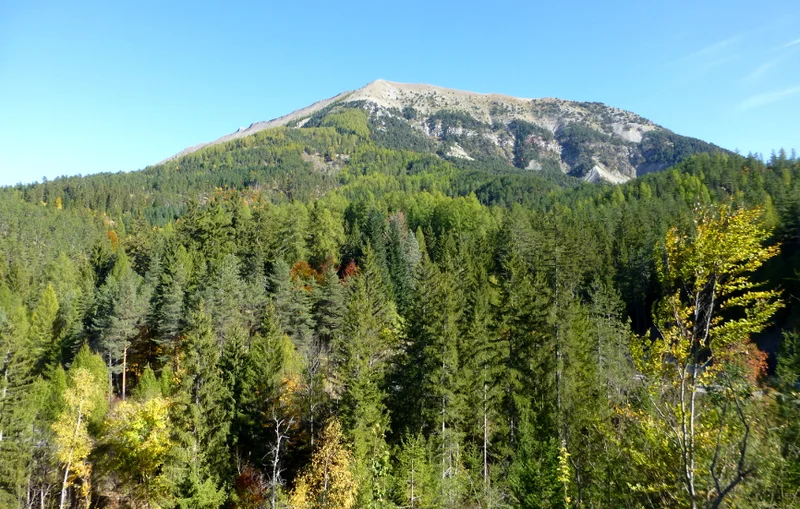Randonnée Forêt du Labouret · Le Vernet