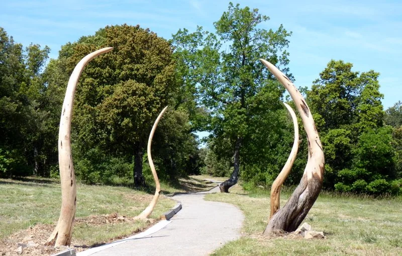 Randonnée Chemins de Bellevue