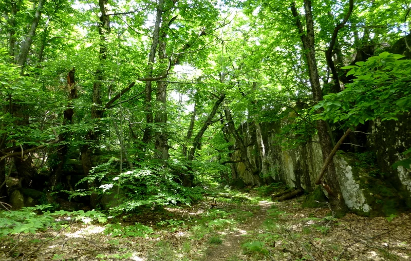 Randonnée Baume Longe