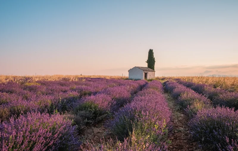 Randonnée Adret de Notre-Dame · Valensole