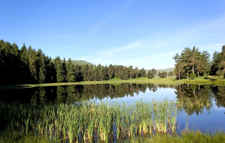 Randonnée Lac des Monges · Bayons
