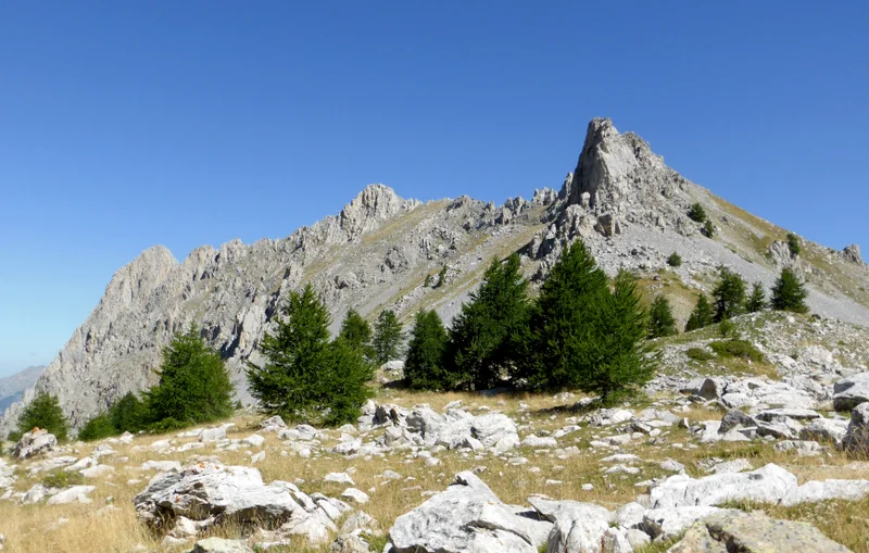 Randonnée Col de Terre Blanche