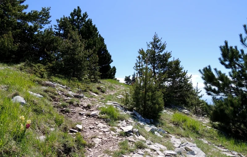 Randonnée Charbonnières de Lure · Saint-Étienne-les-Orgues