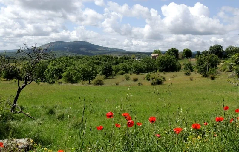 Randonnée Sentier de Seigne · Ongles