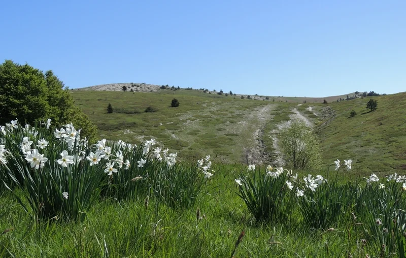 Randonnée Découverte de Lure · Saint-Étienne-les-Orgues