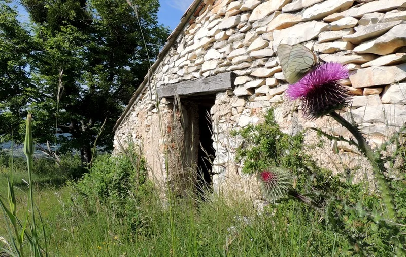 Randonnée Ronde des Jas · Cruis