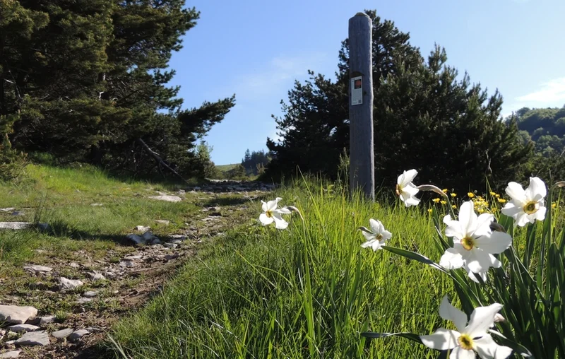 Randonnée Sentier des planètes (version longue) · Saint-Étienne-les-Orgues