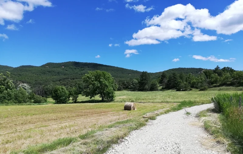 Randonnée Plaine de Montlaux · Montlaux