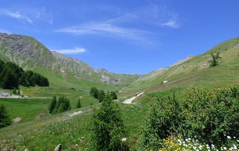 Randonnée Sources du Verdon et Tête de la Sestrière (2 575 m)