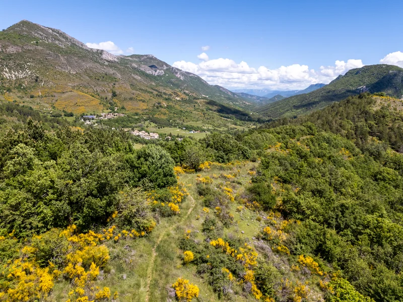 Randonnée Sentier de la biodiversité "Au rythme des plantes" · Montfroc