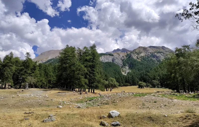 Randonnée Montagnes d'or vert