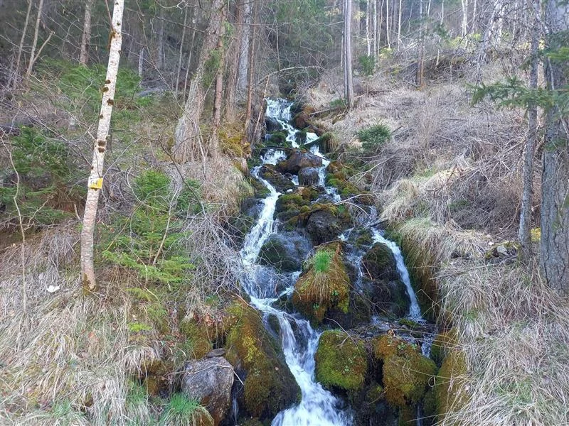 Randonnée Sentier Passaloup
