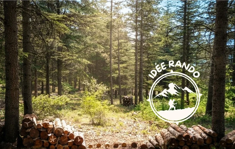Randonnée Sentier des cinq sens · Saint-Étienne-les-Orgues
