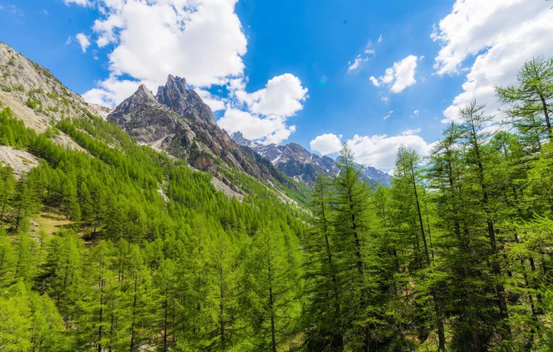 Randonnée Ubaye - Pays du Viso en 6 jours (GRP®) : La frontière fortifiée