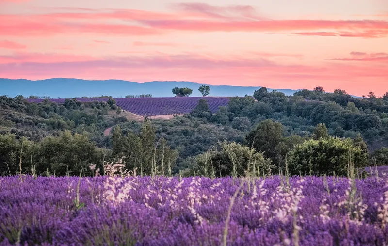 Randonnée Tours du Verdon en 6 jours (GRP® TDV) - Le tour des balcons du Verdon et plateau de Valensole