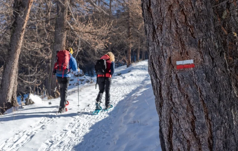 Raquettes Piste du Bois de la Silve (parcours raquettes)