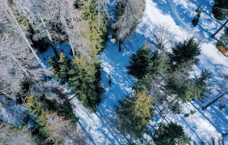 Raquettes Cabane Vieille ou la Balade à JP (parcours raquettes)