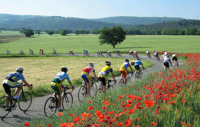 Vélo de route Le plateau de Valensole (parcours vélo n°17)