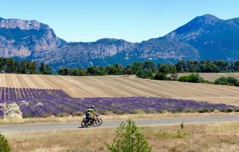 Vélo de route La Romaine (Parcours vélo n°15)