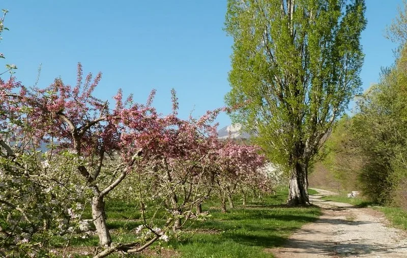 VTT Les Vergers (parcours VTT n°2)