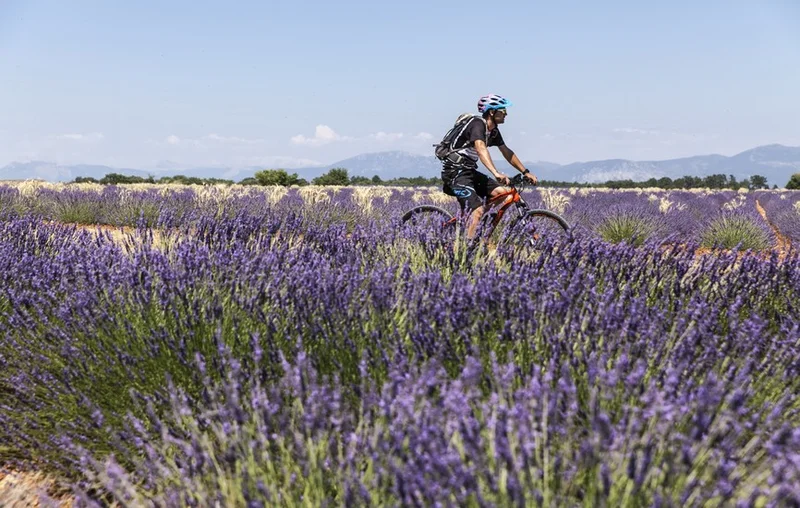 VTT Plaine de Millarettes (parcours VTT N°1)