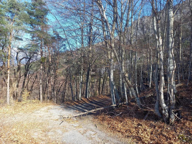 VTT Boucle des Pangouniers (VTT n°23)
