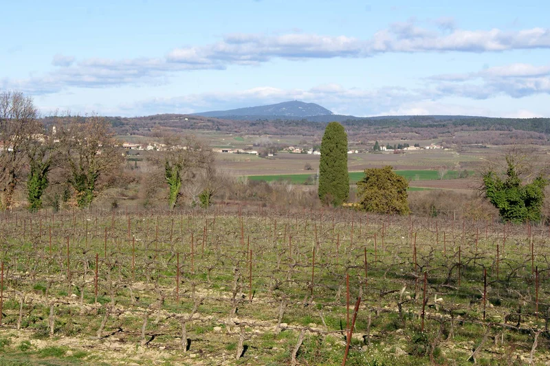 Randonnée Le Chemin de Bellevue