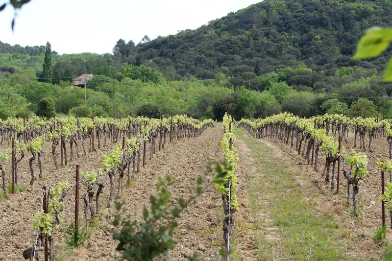 Randonnée Autour du domaine d'Arene