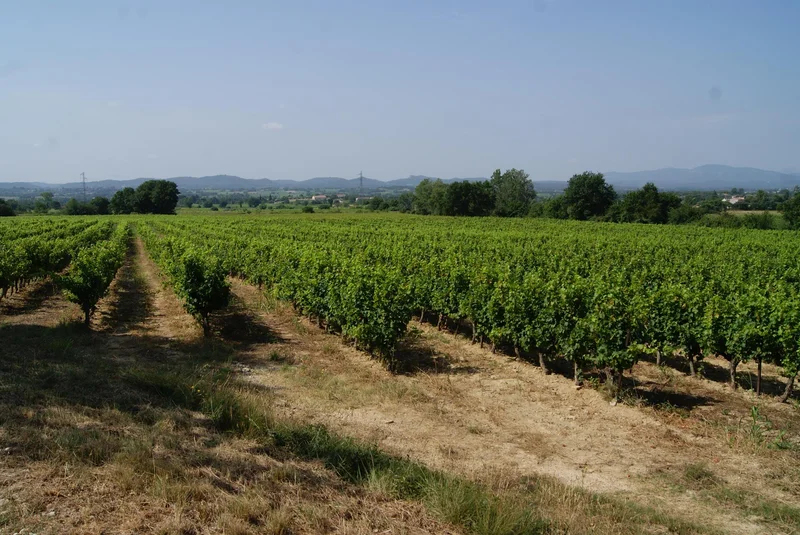Randonnée Le chemin des crêtes