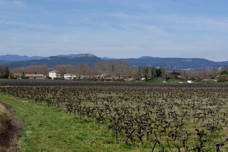 Vélo de route Des voies vertes au vignoble de Lézan