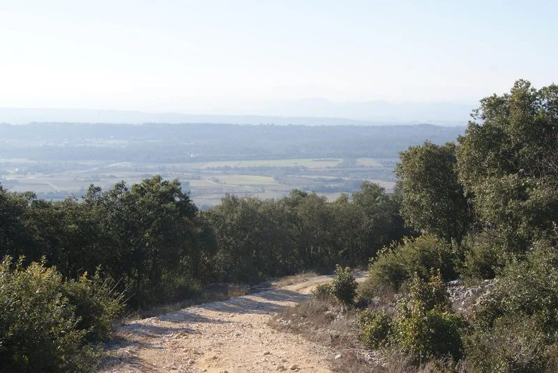 Vélo de route De Méjannes au camp Romain