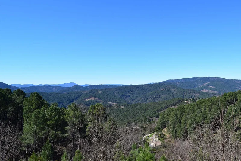 Vélo de route La route de la châtaigne des Cévennes