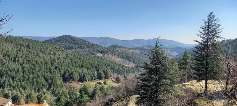 Vélo de route Vallée de la Cèze