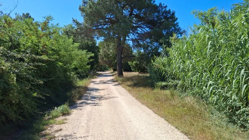 Vélo de route À la découverte d'Uzès
