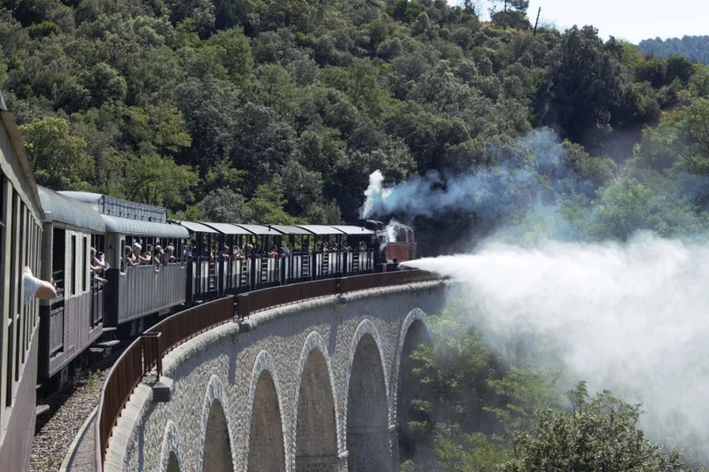 Vélo de route Du train des Cévennes à la Salendrinque