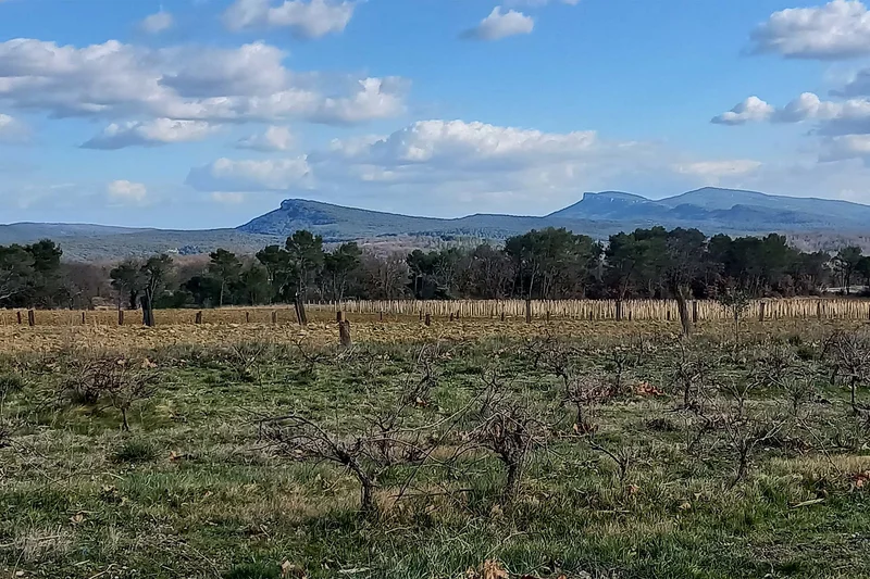 Vélo de route Vallée de l'Auzonnet