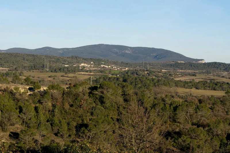 Vélo de route Des vallons au pied du Mont Bouquet