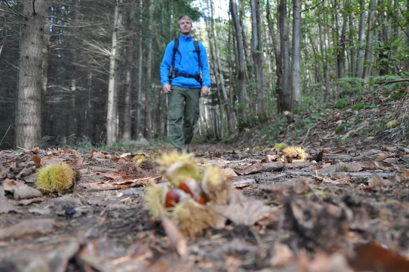 Randonnée Le Bois de Malaurier