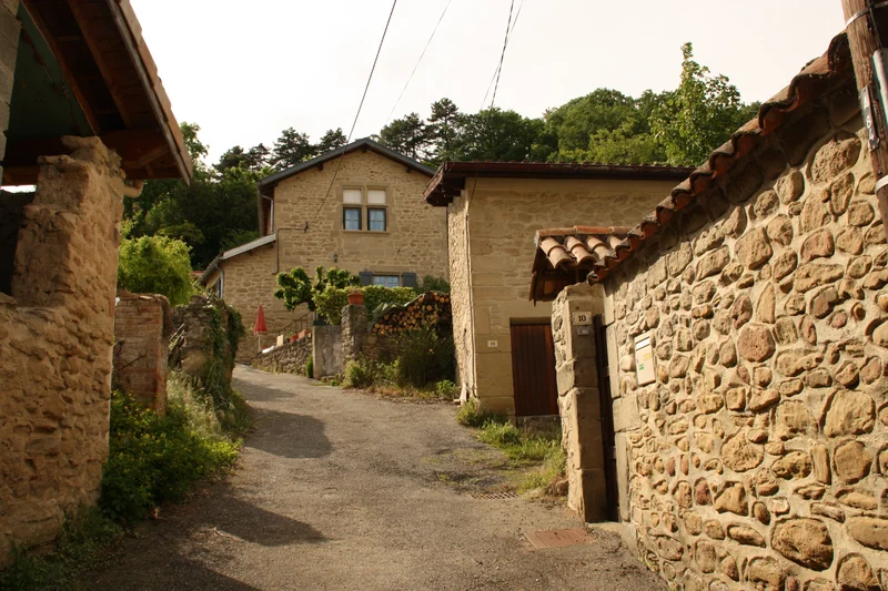Randonnée De Charmes au Bois de Bard · Charmes-sur-l'Herbasse