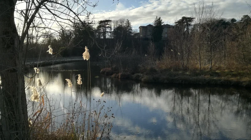 Randonnée Le bois de l'Ane · Chavannes