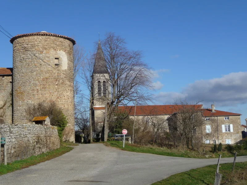 Randonnée Circuit de la Levée