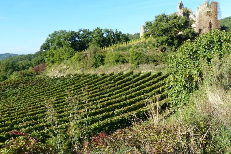 Randonnée Combe fauchée · Larnage