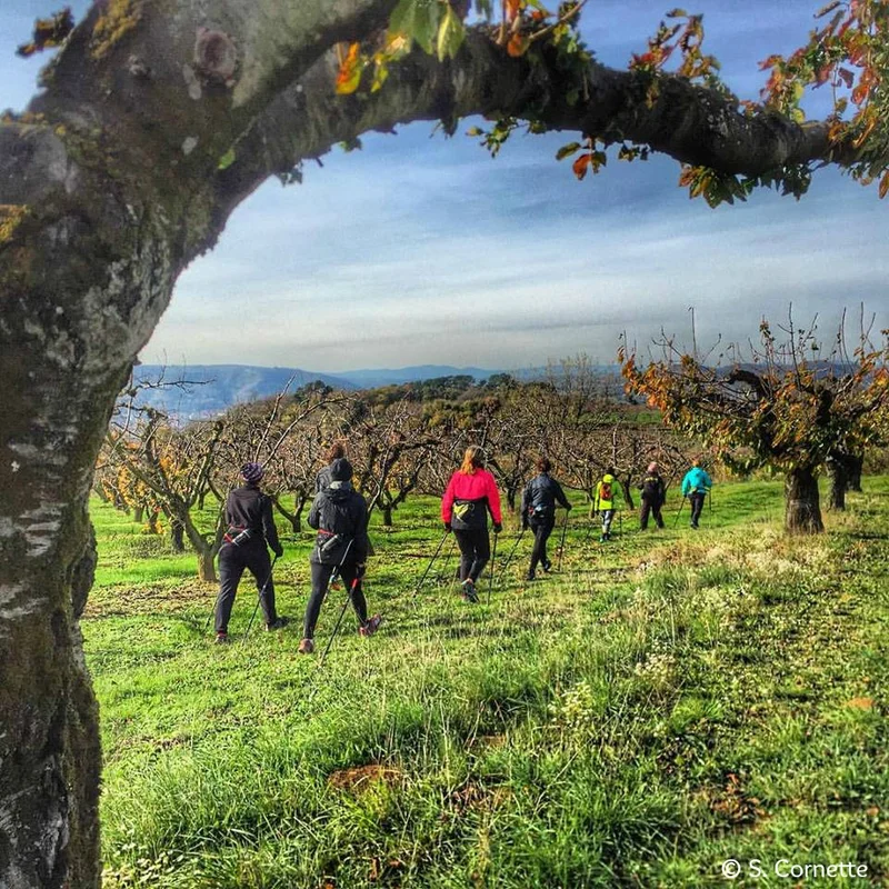 Randonnée Les Hauts de Mercurol · Mercurol-Veaunes